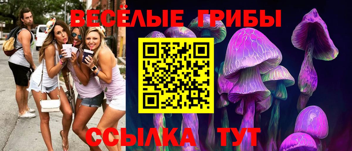 Псилоцибиновые грибы мухоморы Пенза