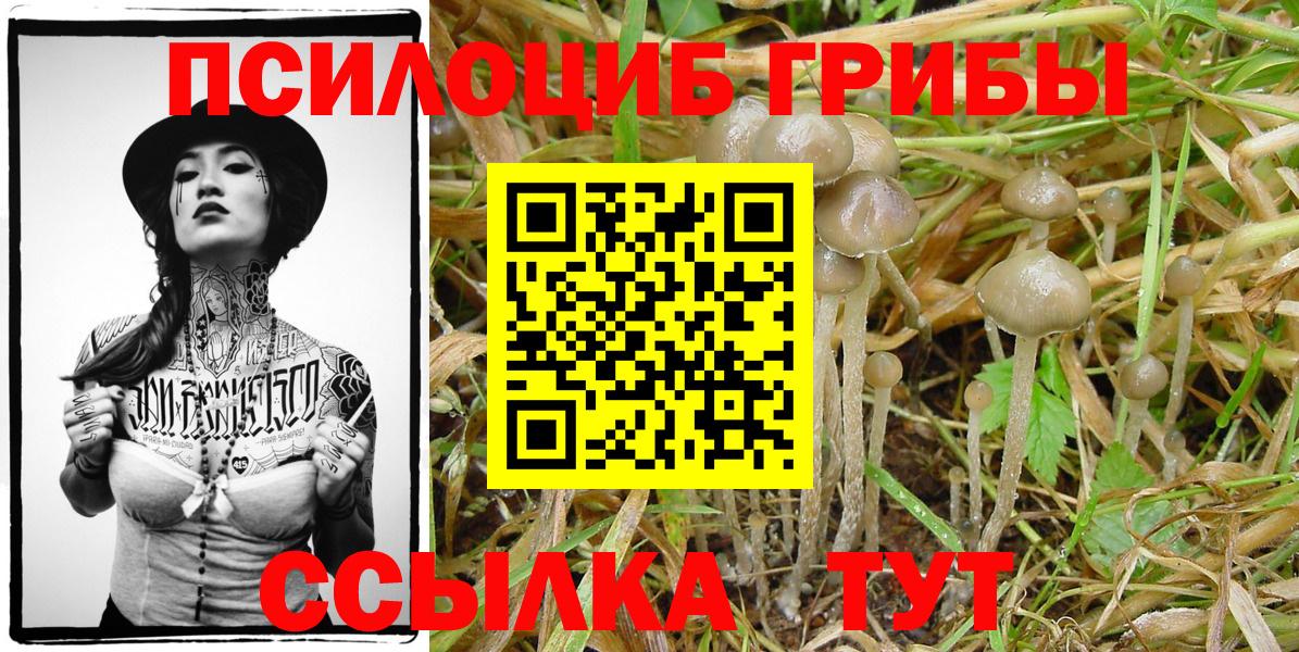 Галлюциногенные грибы GOLDEN TEACHER  Вход с VPN  Пенза 